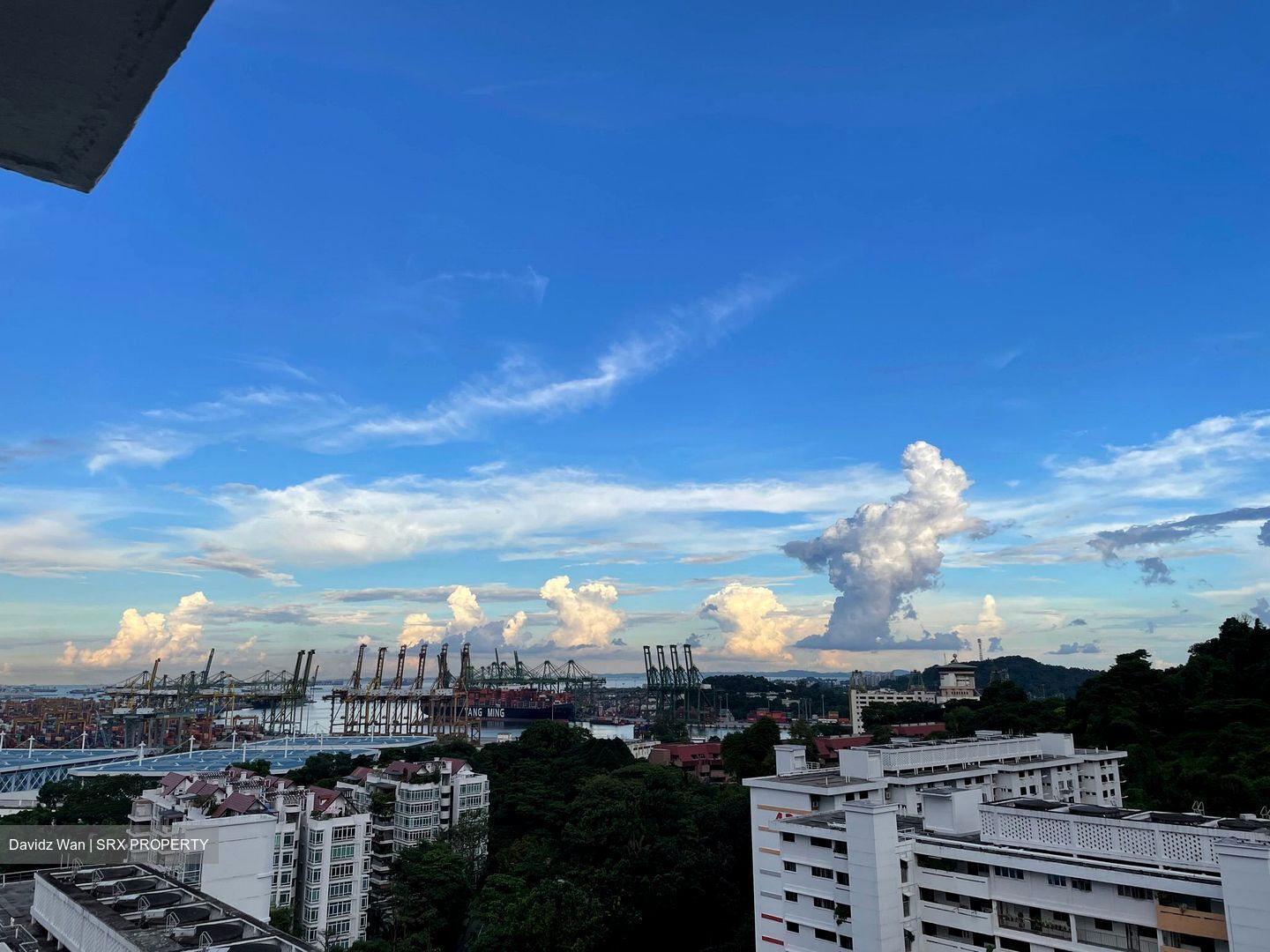 Blk 39 Telok Blangah Rise (Bukit Merah), HDB 5 Rooms #563823161